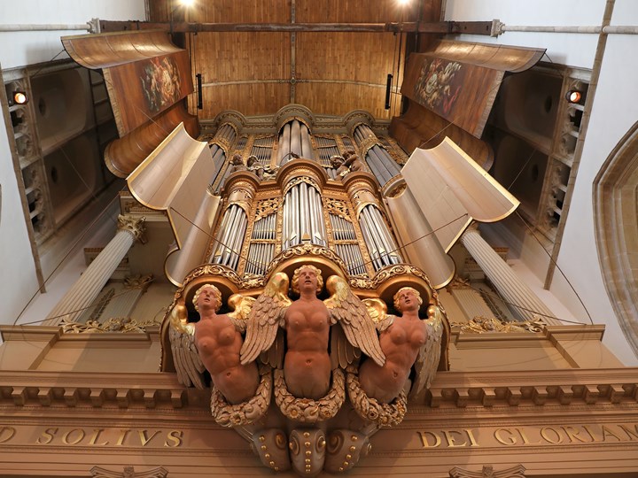 Grote Orgel Foto Lucien Kroon (1)